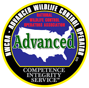 NWCOA Advanced Bat Standards Certified