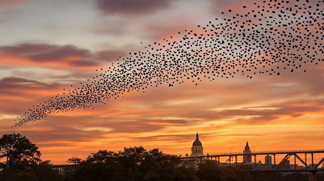 nighttime bat activity peaks